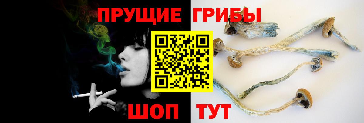 Апатиты  Галлюциногенные грибы Psilocybe  Вход с VPN  Галлюциногенные грибы ЛСД 